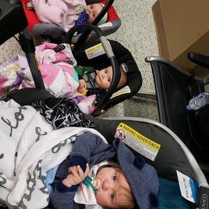 Meet your Posher, Laurie